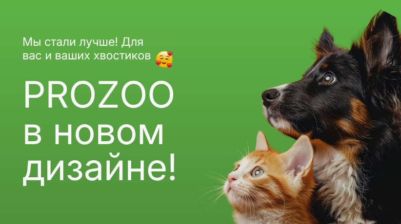 Новый дизайн
