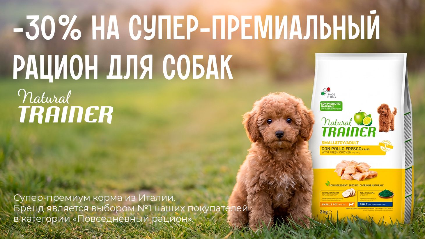 Июль промо трейнер