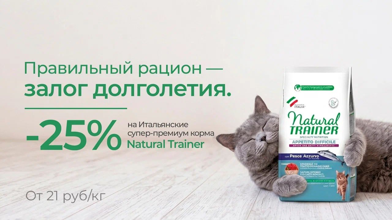 Трейнер промо Август 26