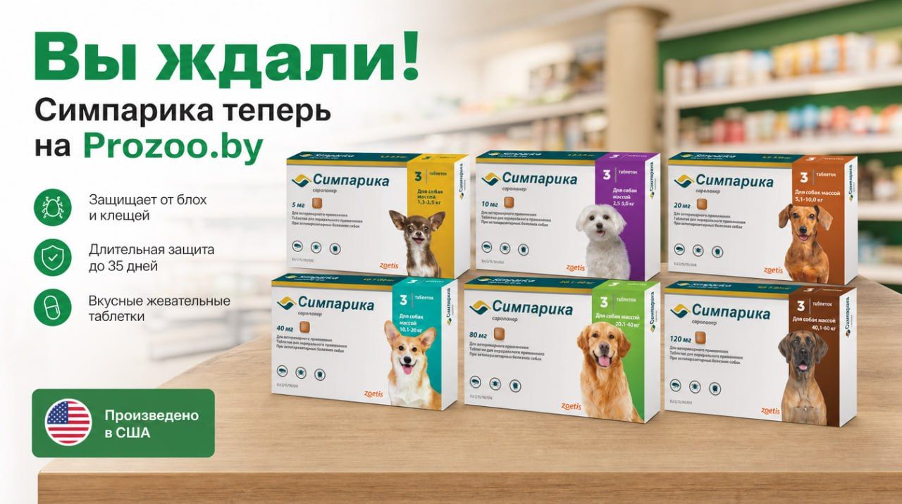 Симпарика прозоо