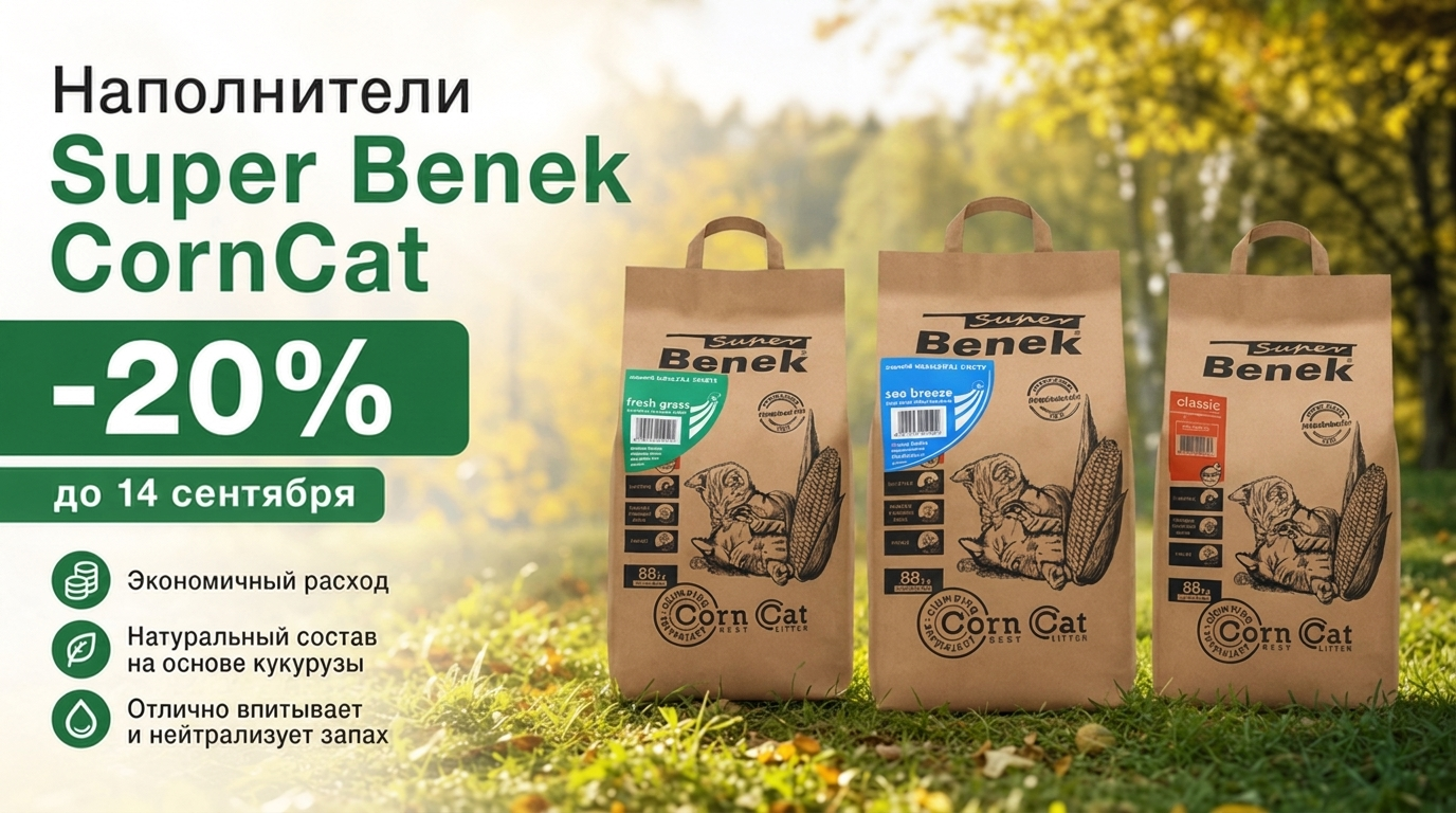 КорнКет сентябрь