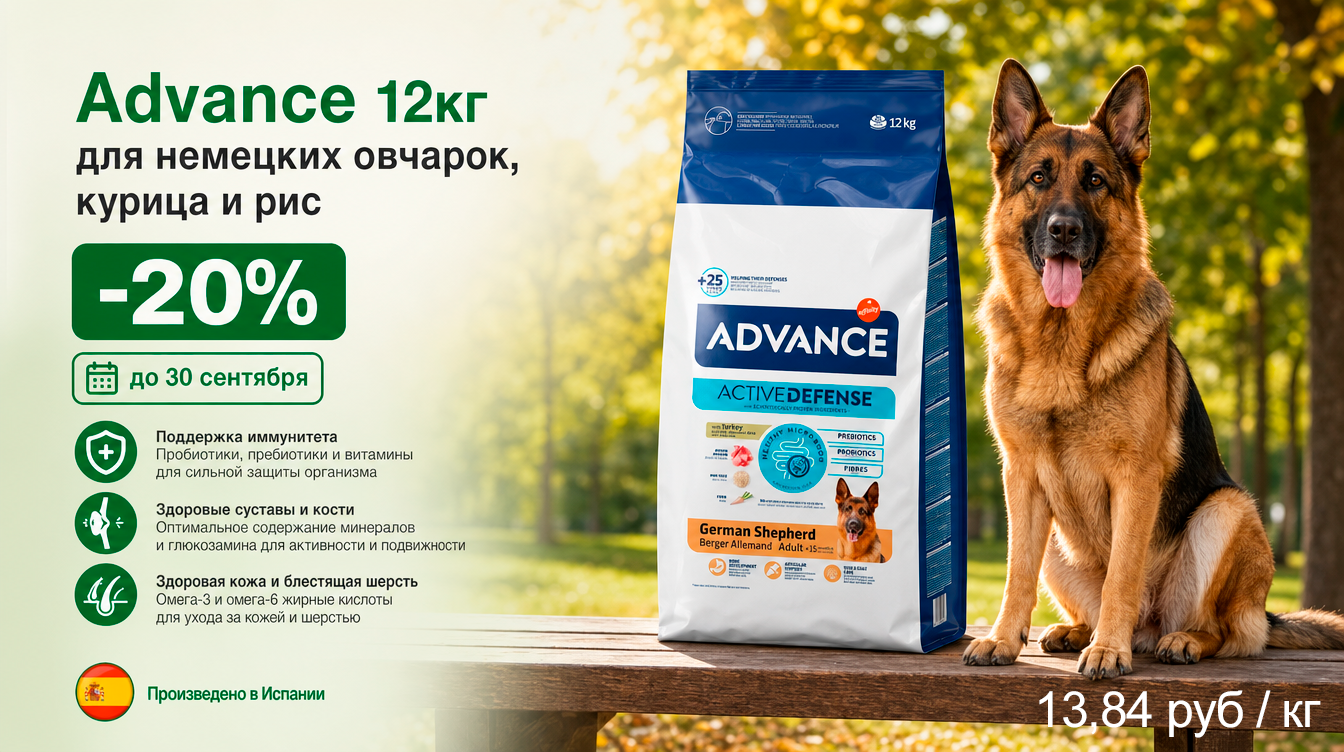 Адванс Овчарки Сентябрь