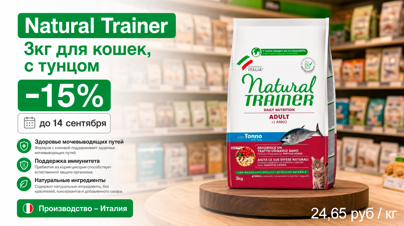 Трейнер кошки тунец, сентябрь