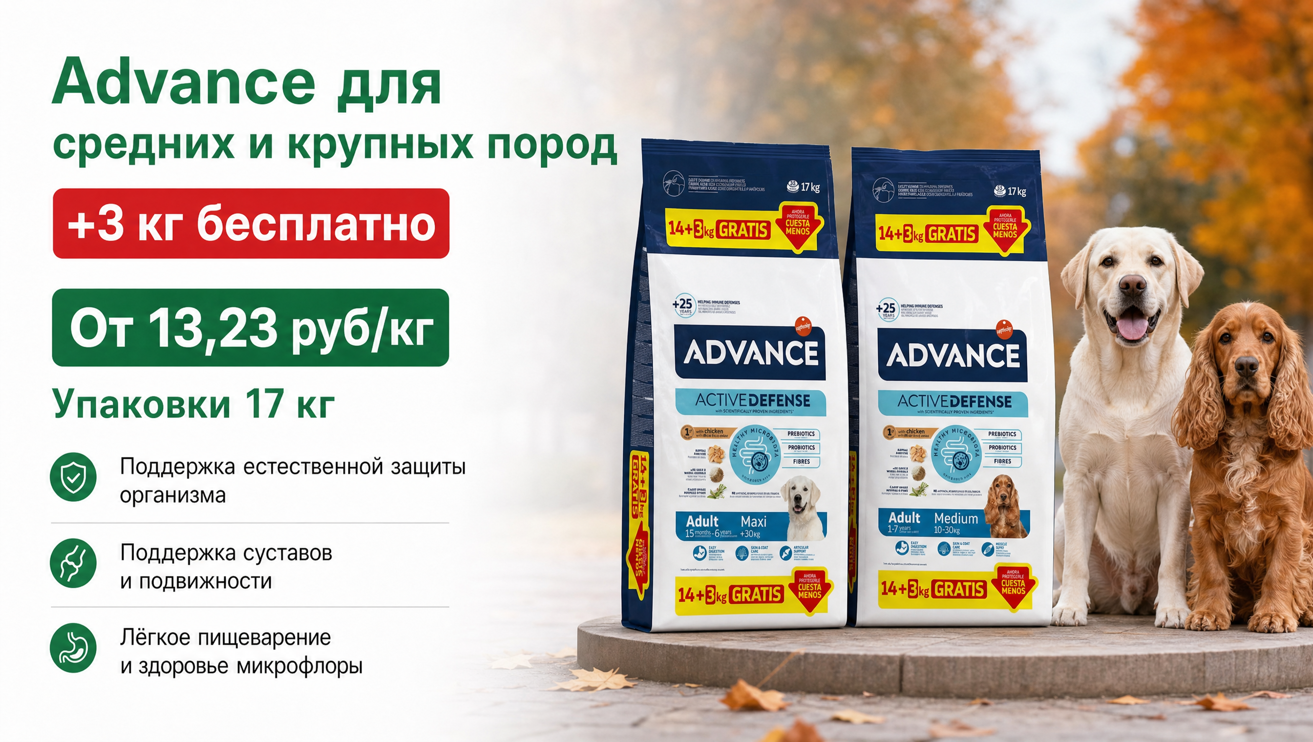 Advance Досыпка Собаки октябрь