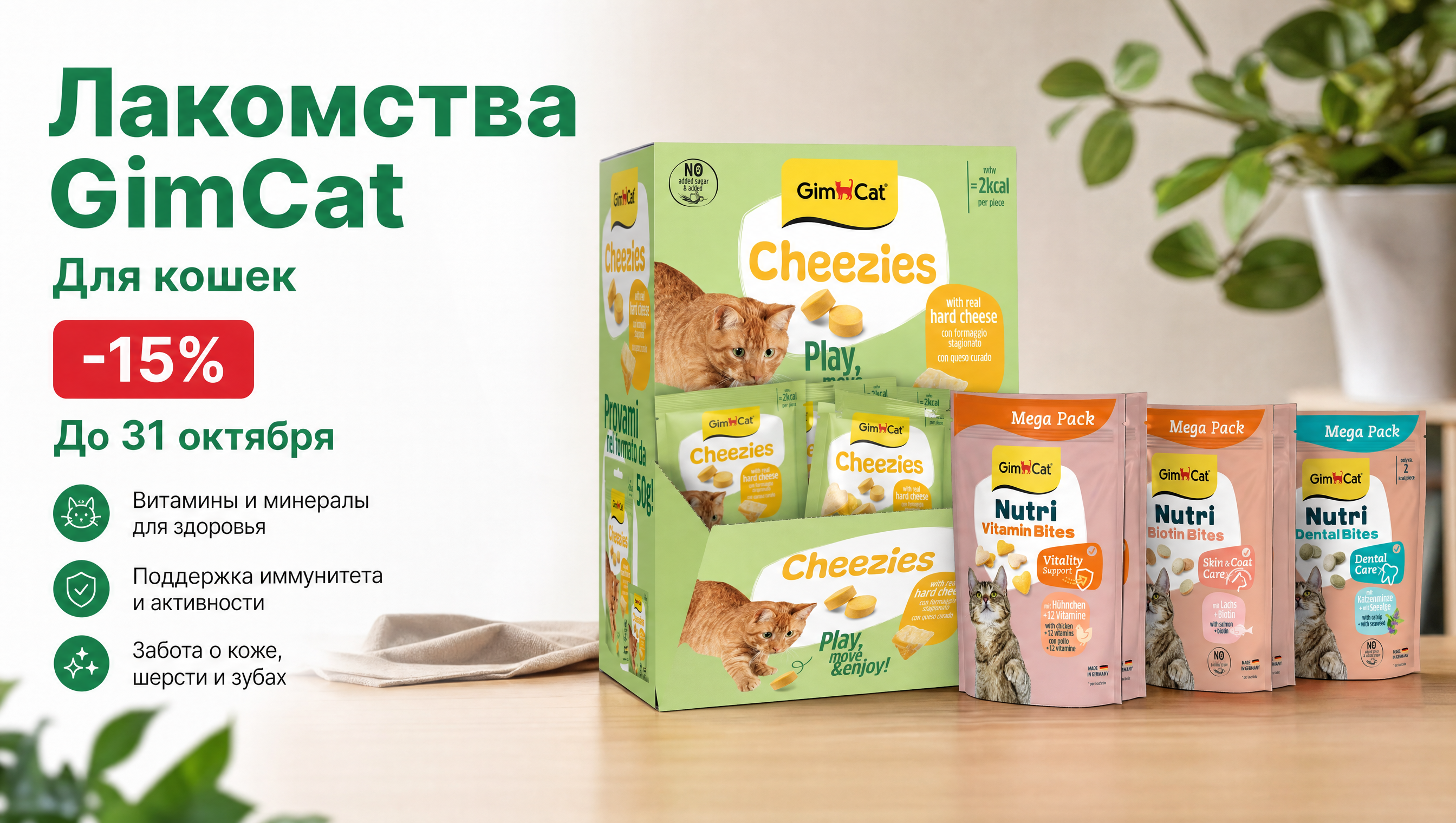 GimCat Октябрь