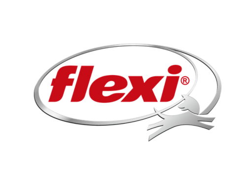 FLEXI FUN