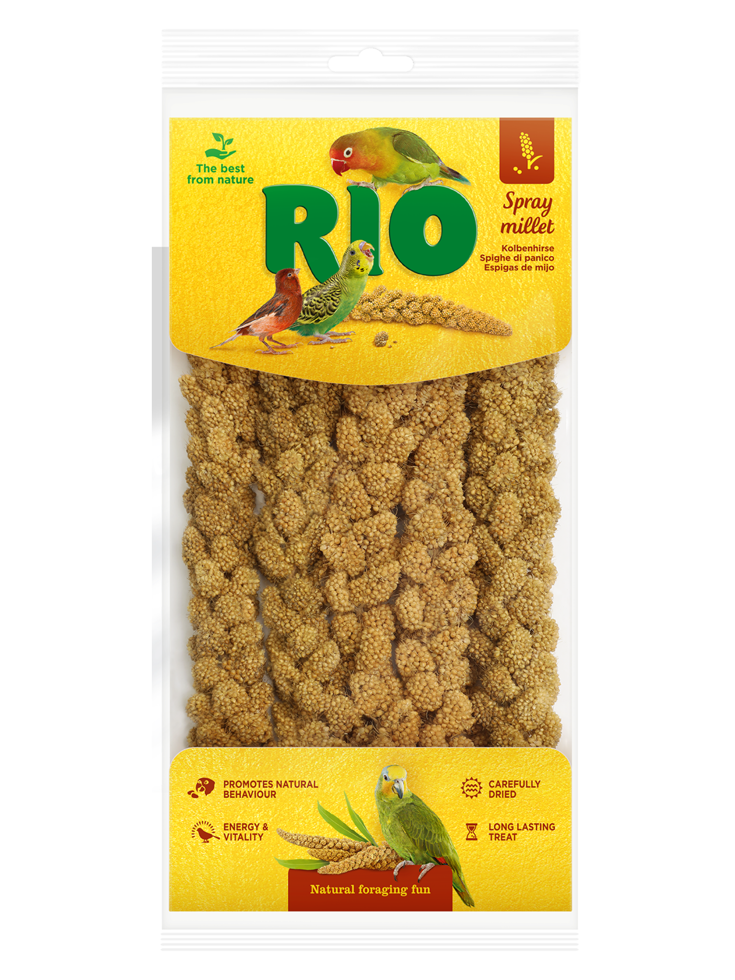 Сенегальское просо RIO в колосьях, 100 г