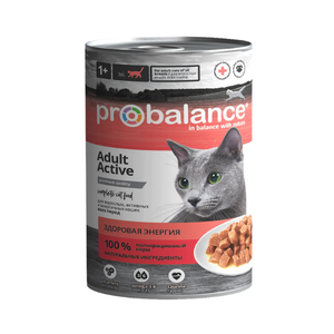 1120bbb6-1cbf-56d3-a3c0-2953239d2f41.png