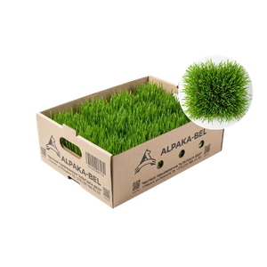 54f7aba5-ce69-5790-9a69-094c906b3182.png