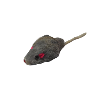 6f0e6966-2031-55fc-8cac-1e65eb5c49cf.png